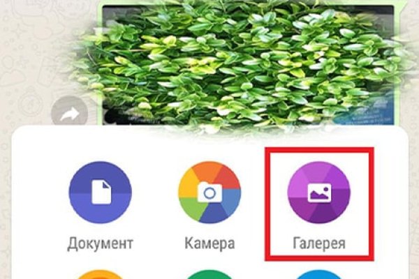 Ссылка кракен cc