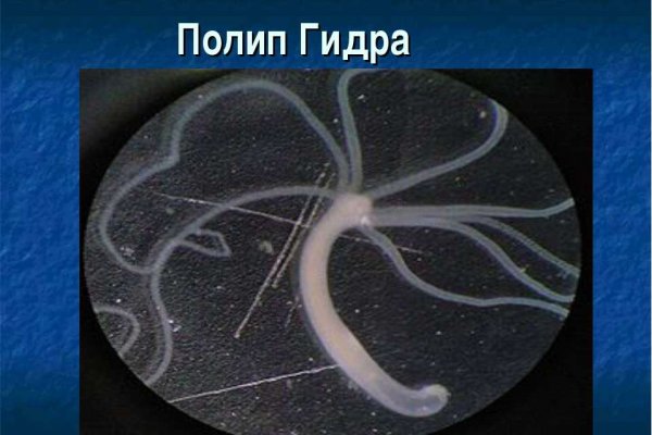 Кракен браузер ссылка