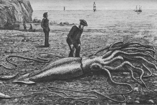 Kraken darknet sliv php
